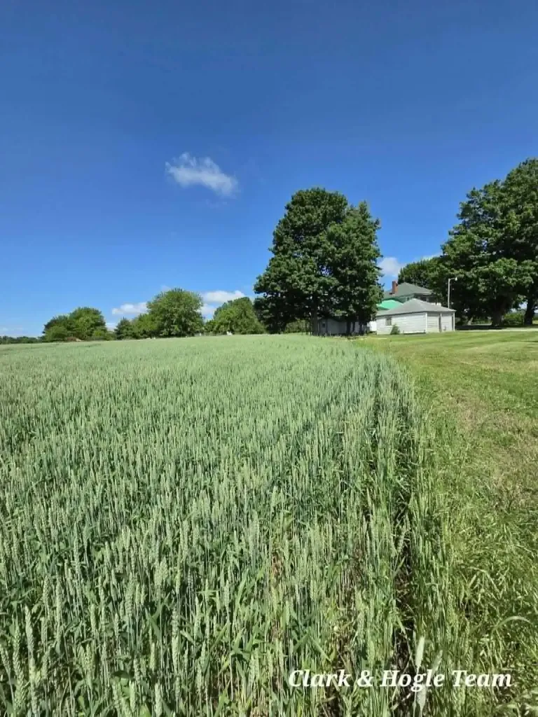 14675 W Hanses Road Westphalia Township MI 48894