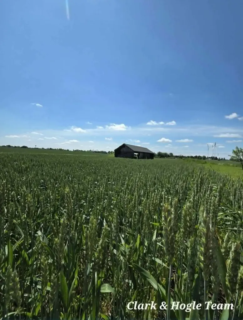 14675 W Hanses Road Westphalia Township MI 48894
