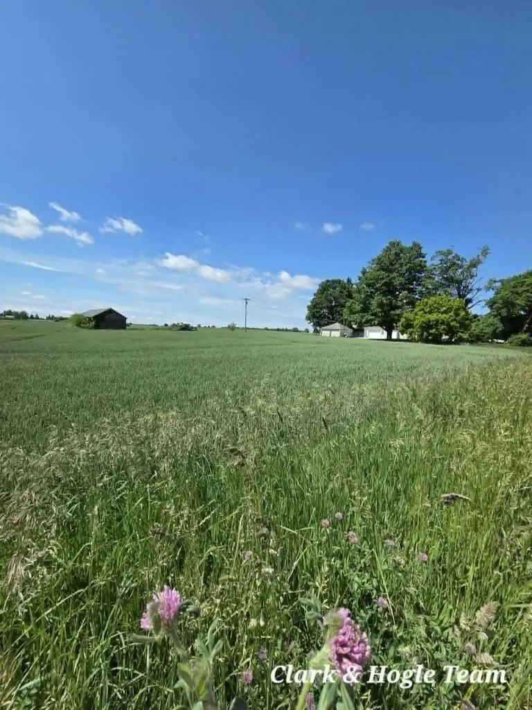 14675 W Hanses Road Westphalia Township MI 48894