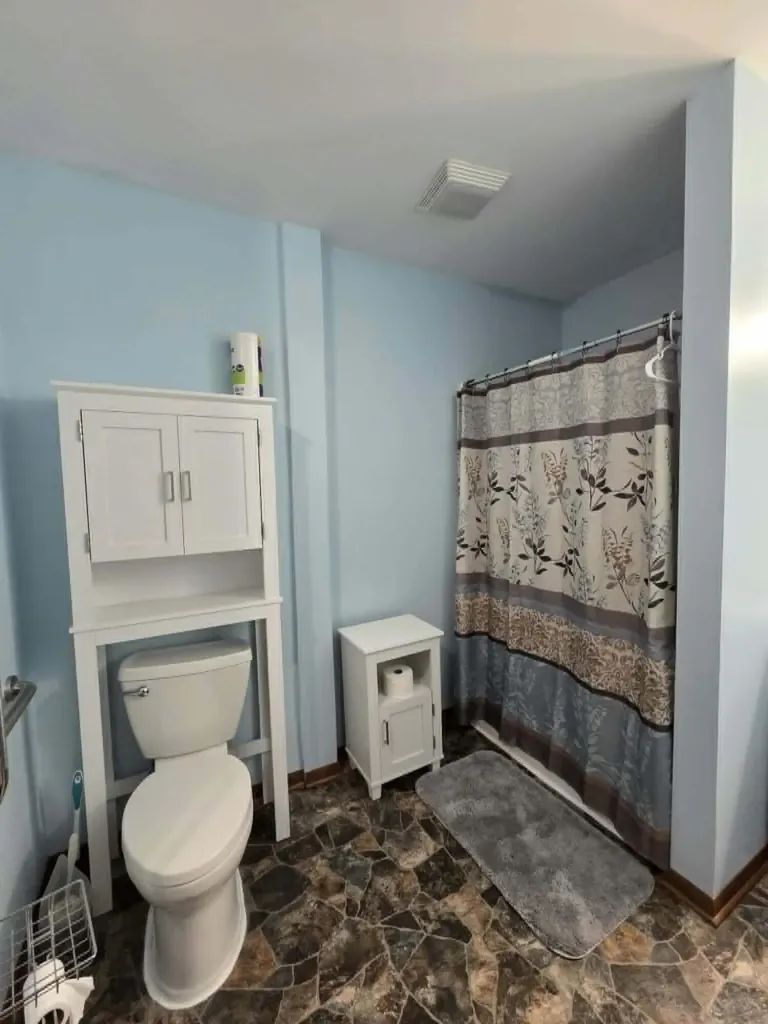 14675 W Hanses Road Westphalia Township MI 48894