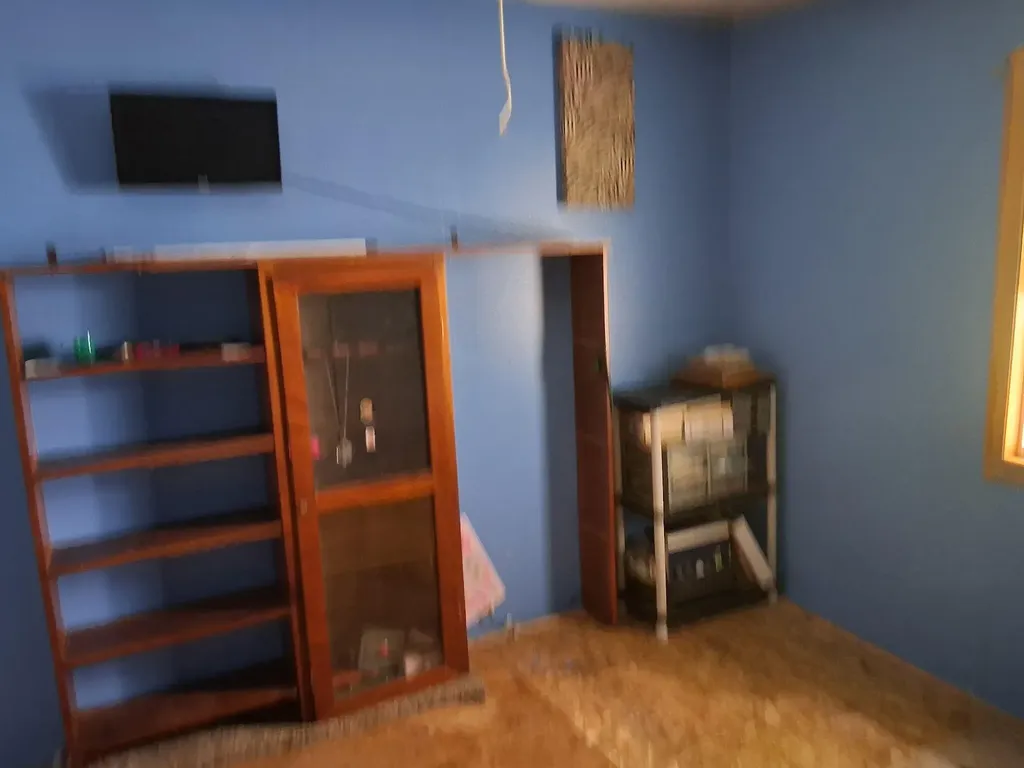 956 Prairie Creek Road Ionia Township MI 48846