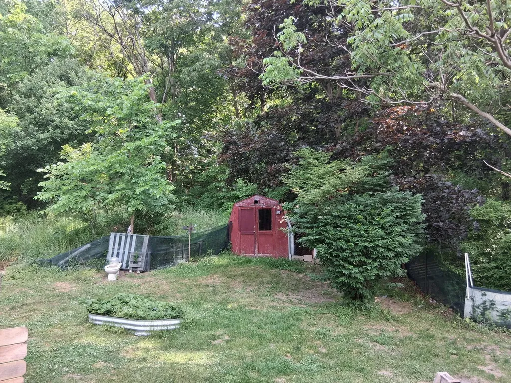956 Prairie Creek Road Ionia Township MI 48846