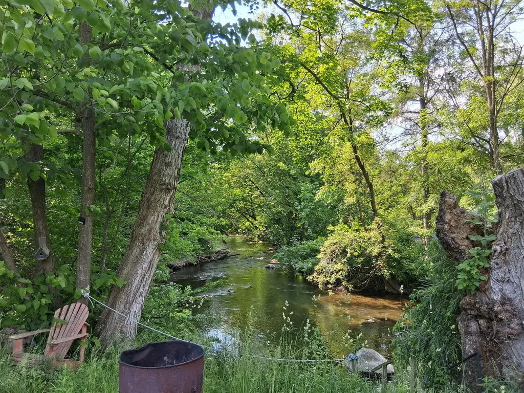 956 Prairie Creek Road Ionia Township MI 48846