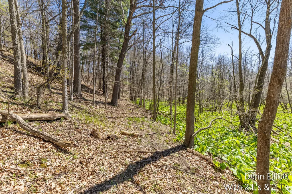 956 Prairie Creek Road Ionia Township MI 48846