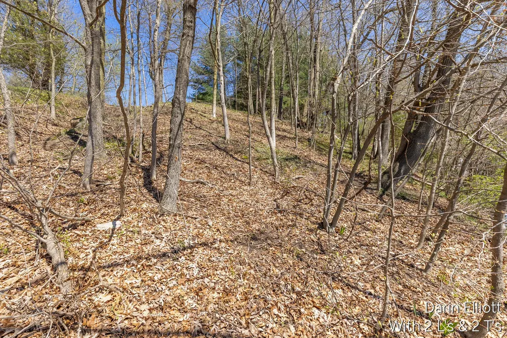 956 Prairie Creek Road Ionia Township MI 48846