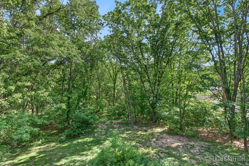 12917 Oak Highland Drive Lowell Charter Township MI 49331