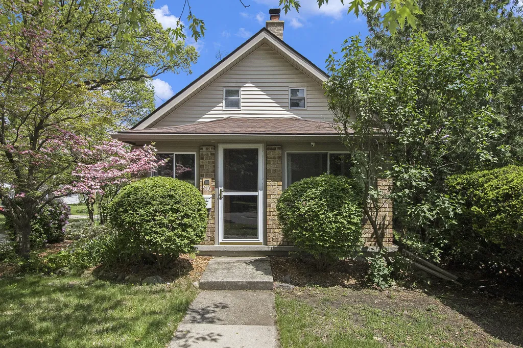 916 Brooks Street Ann Arbor City MI 48103