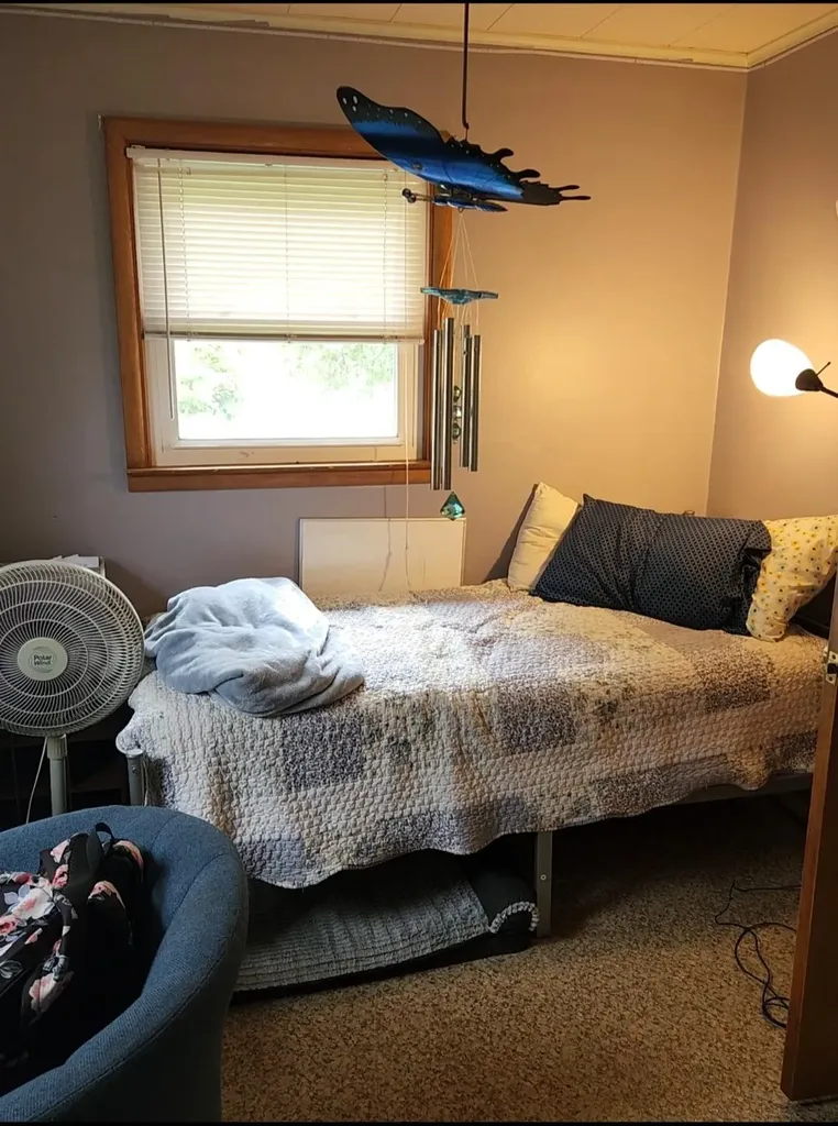 1453 Yeomans Street Easton Township MI 48846