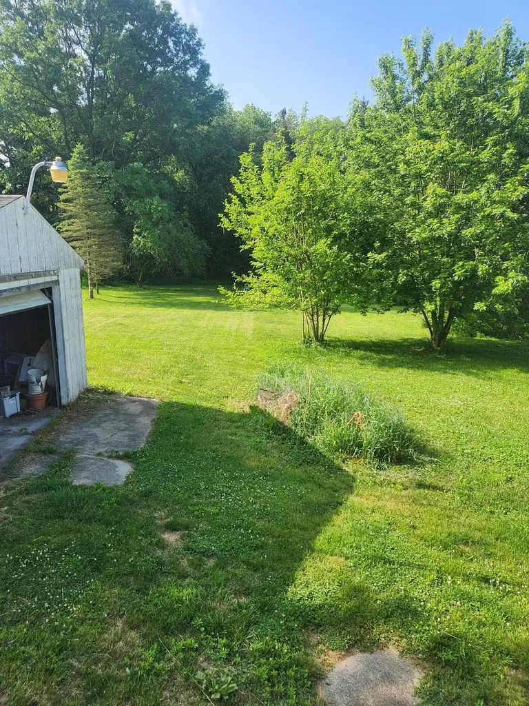 1453 Yeomans Street Easton Township MI 48846