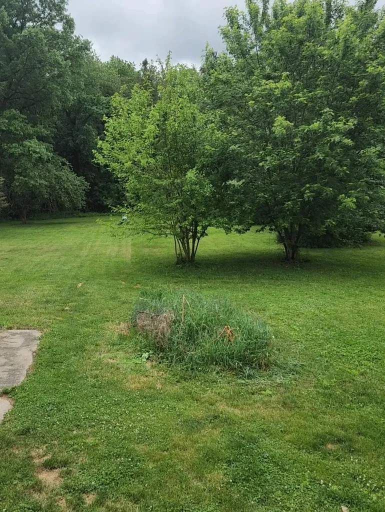 1453 Yeomans Street Easton Township MI 48846