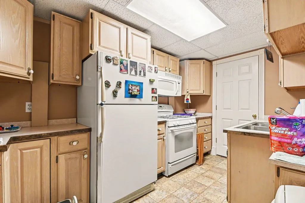6920 Beechwood Drive Boston Township MI 48881