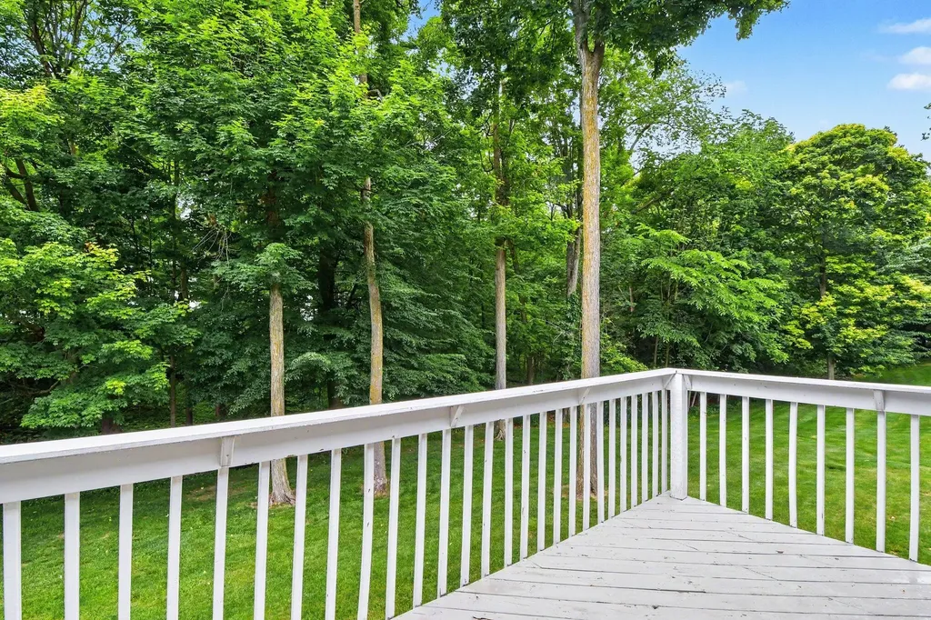 6920 Beechwood Drive Boston Township MI 48881