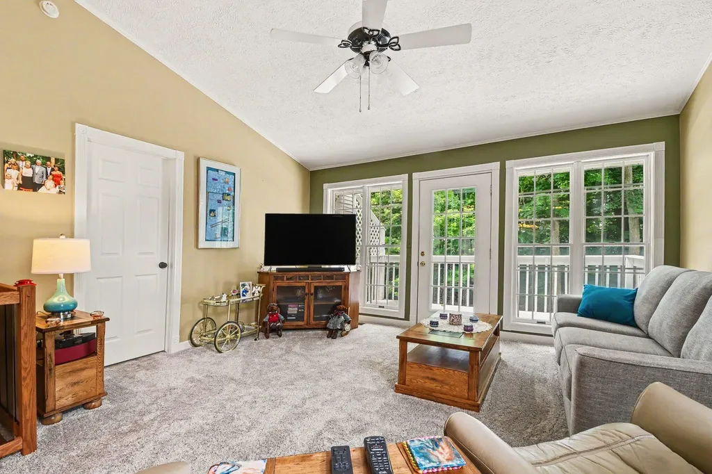 6920 Beechwood Drive Boston Township MI 48881