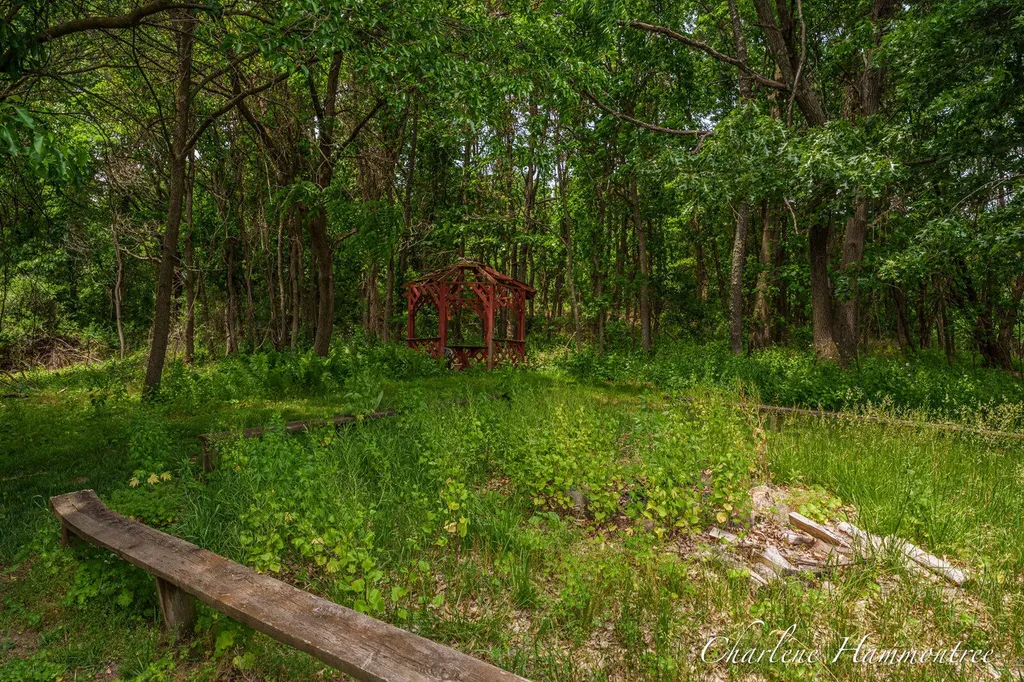 9111 Summit Avenue NE Algoma Township MI 49341