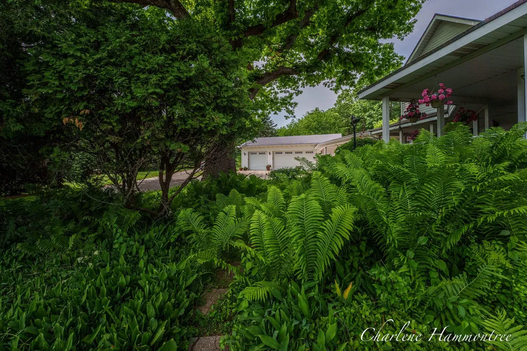 9111 Summit Avenue NE Algoma Township MI 49341