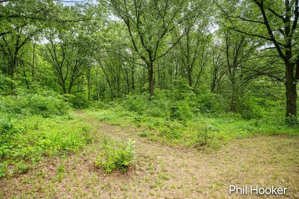 5797 Ivan Road Boston Township MI 48881
