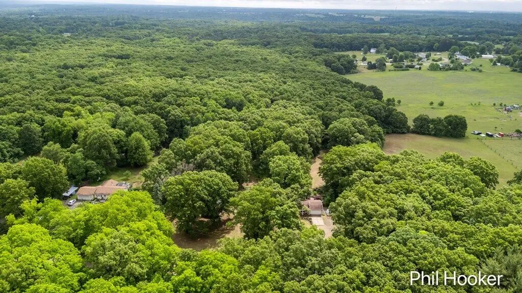 5797 Ivan Road Boston Township MI 48881