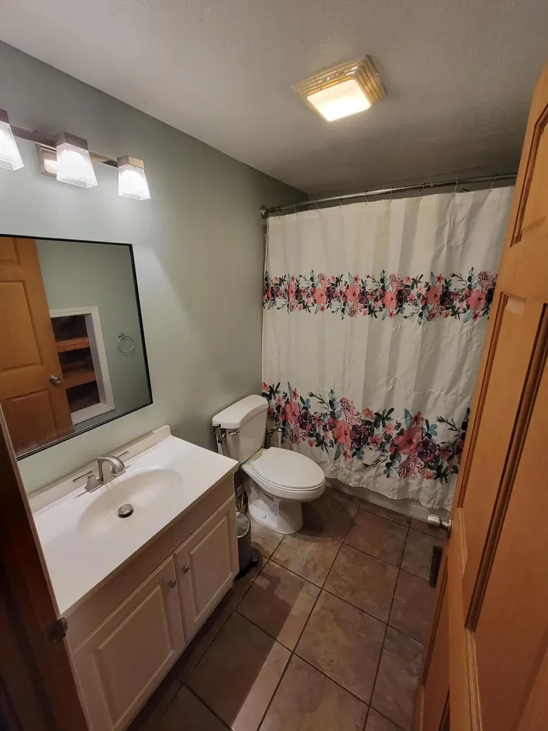 709 E Isham Street Ionia Township MI 48851
