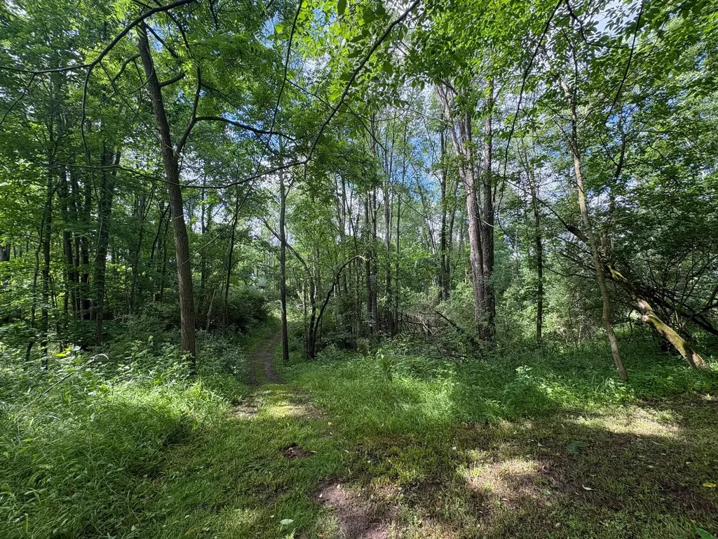 7654 Burrstone Drive SE Caledonia Township MI 49316