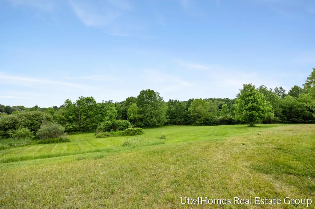 6625 Twin Springs Court NE Courtland Township MI 49341