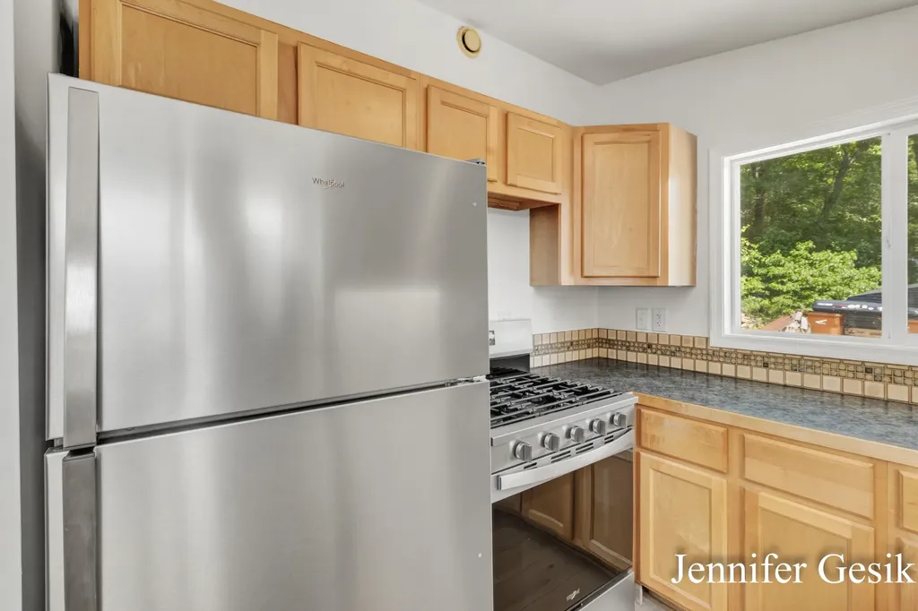 8735 Brower Lake Drive NE Courtland Township MI 49341
