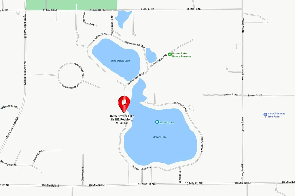 8735 Brower Lake Drive NE Courtland Township MI 49341