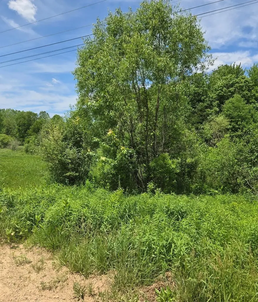 475 Tyler Road Wayland Township MI 49348
