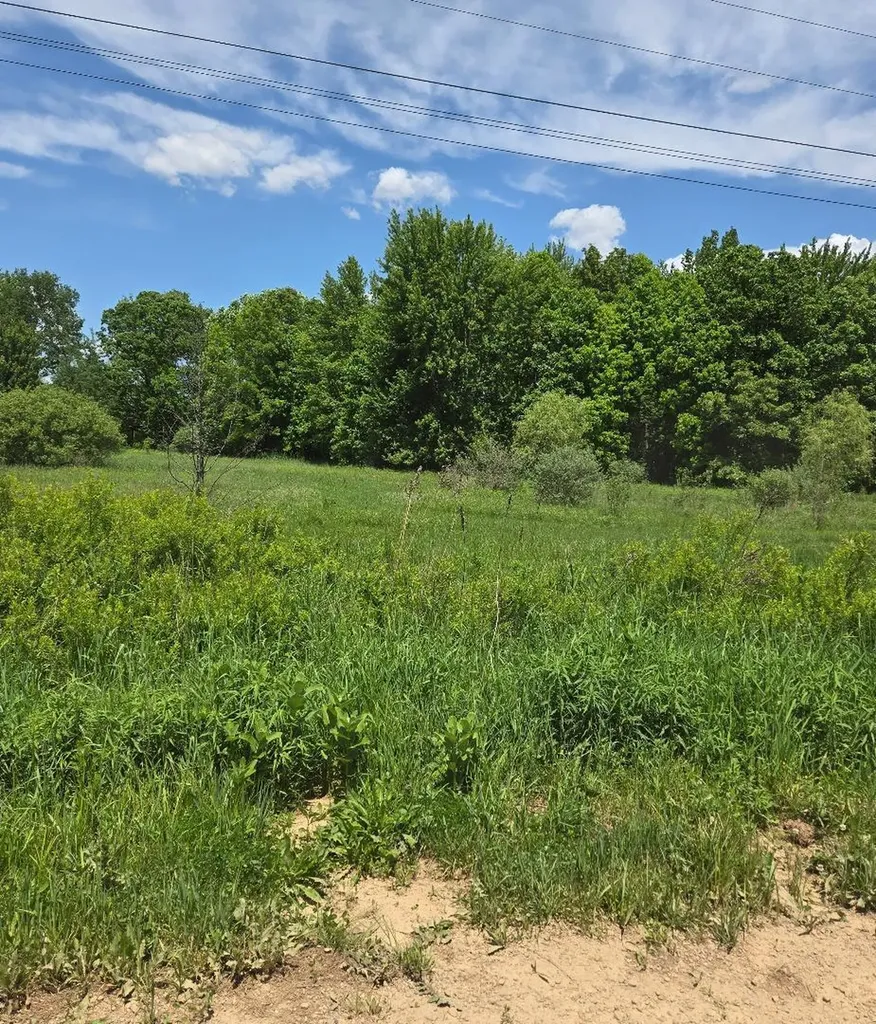 475 Tyler Road Wayland Township MI 49348