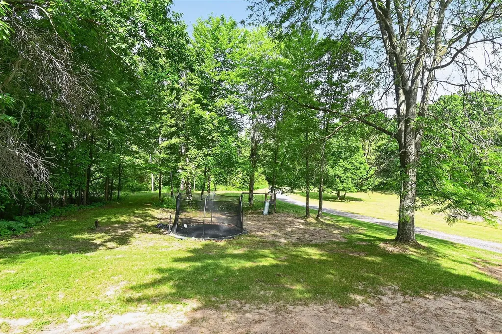 10260 N Ferris Road Seville Township MI 48877