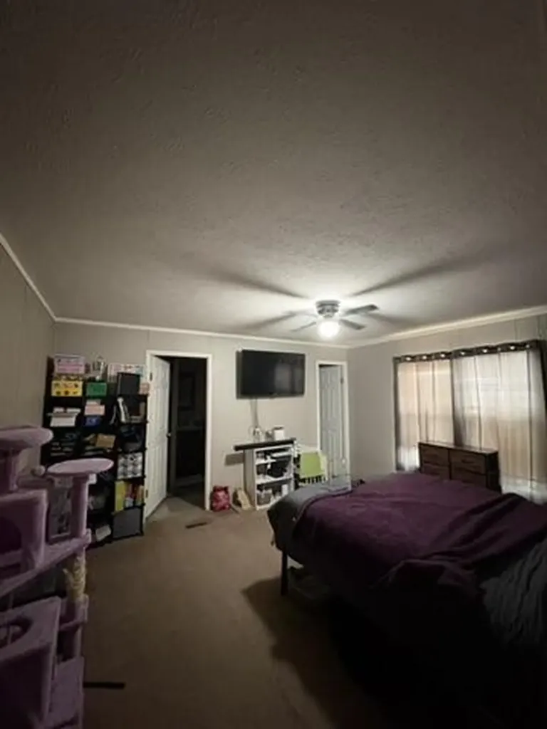 360 E Tuttle Road Ionia Township MI 48846