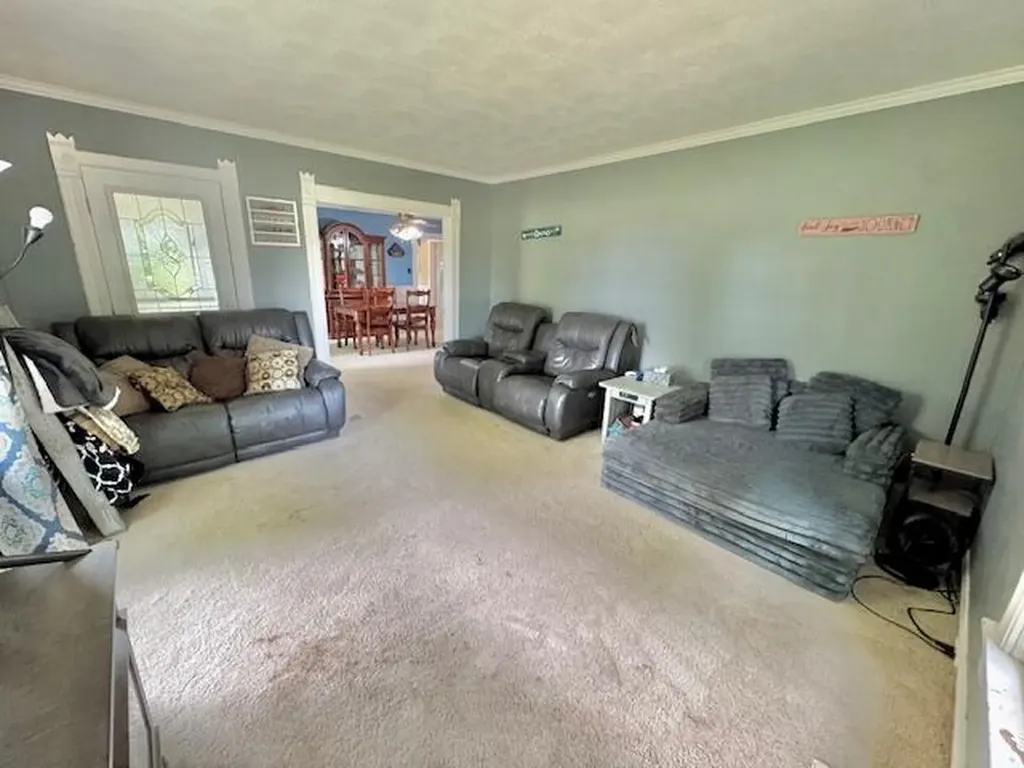 10035 Irish Road Sunfield Township MI 49096