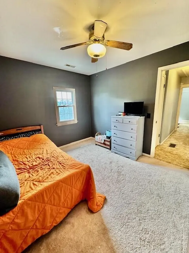 10035 Irish Road Sunfield Township MI 49096