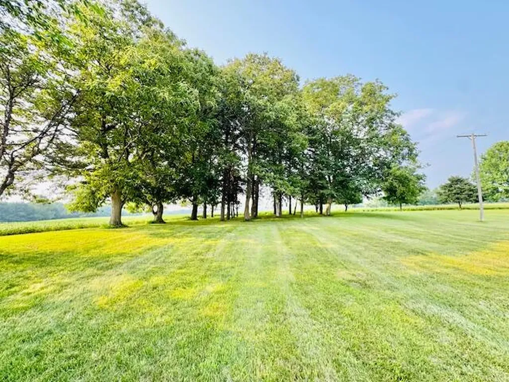 10035 Irish Road Sunfield Township MI 49096
