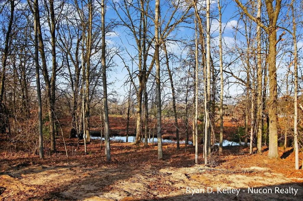 8411 Peninsula Drive W Morton Township MI 49346