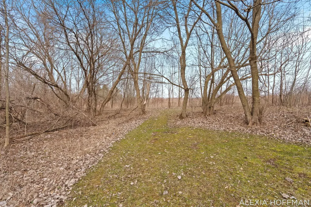 7266 Peddler Lake Campbell Township MI 48815