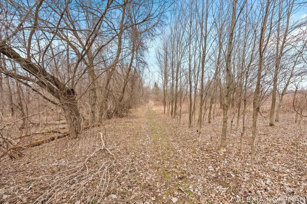 7266 Peddler Lake Campbell Township MI 48815