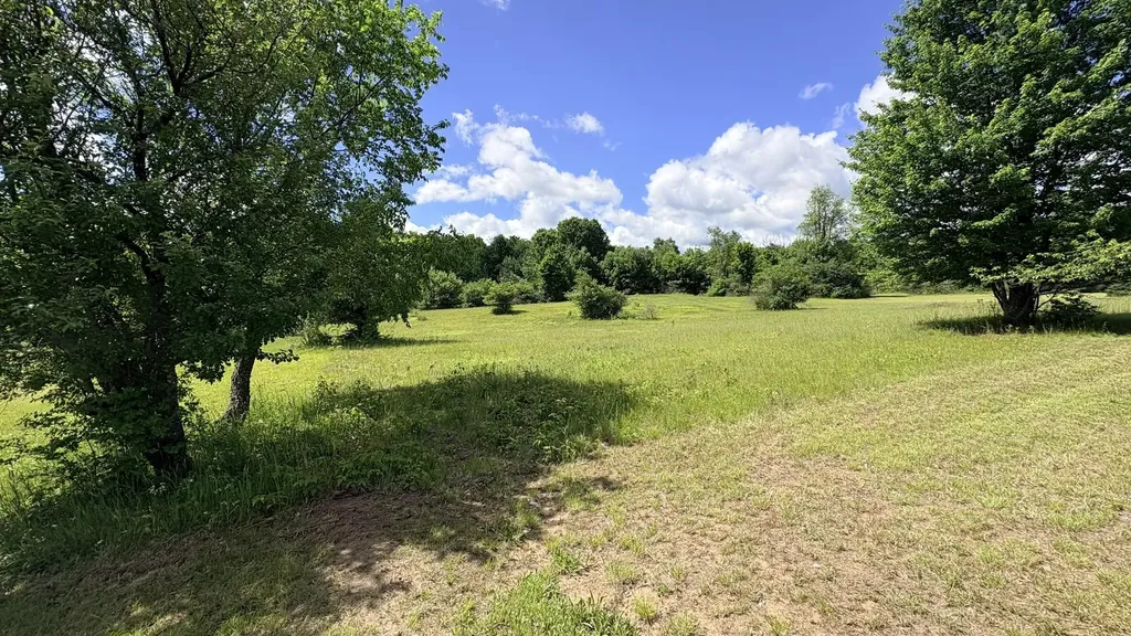 4395 N Raymond Road Ellsworth Township MI 49656