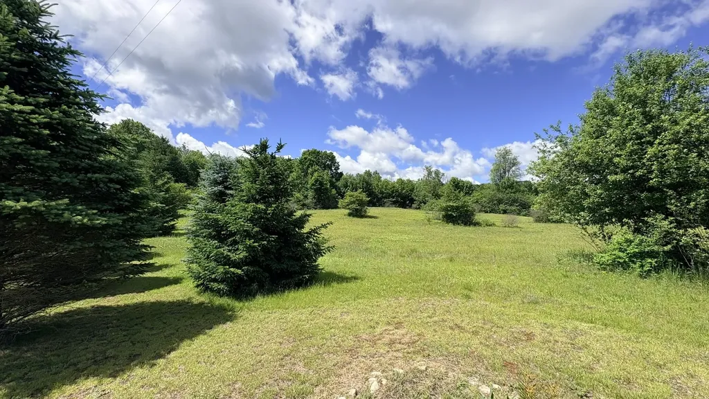 4395 N Raymond Road Ellsworth Township MI 49656