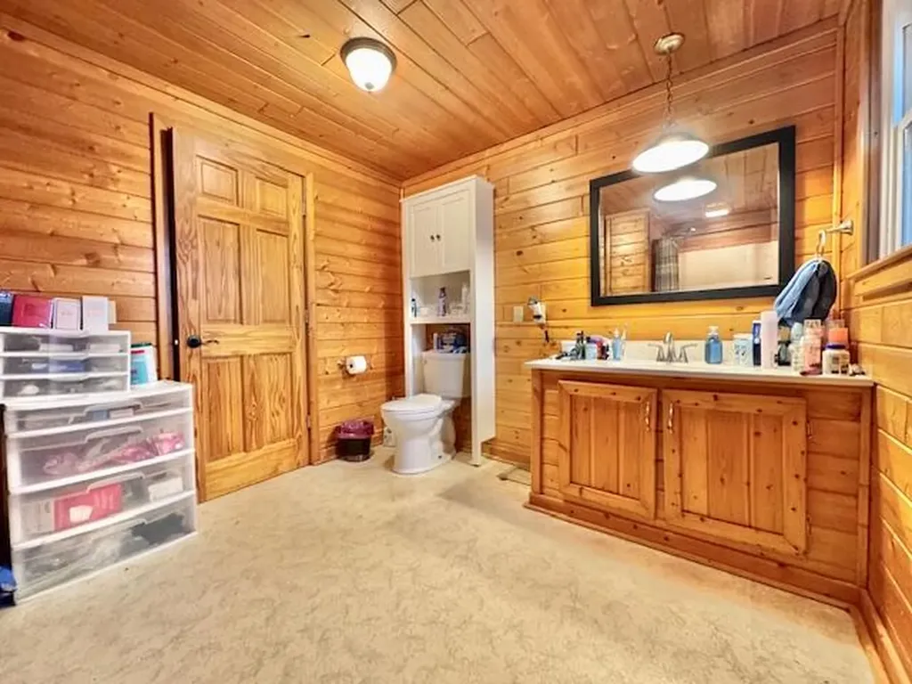 1306 Jack Henry Drive Kalamo Township MI 48813