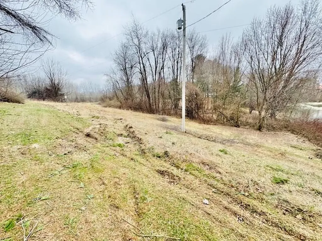 1306 Jack Henry Drive Kalamo Township MI 48813