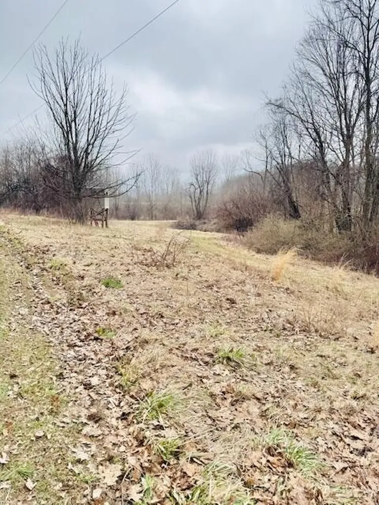 1306 Jack Henry Drive Kalamo Township MI 48813
