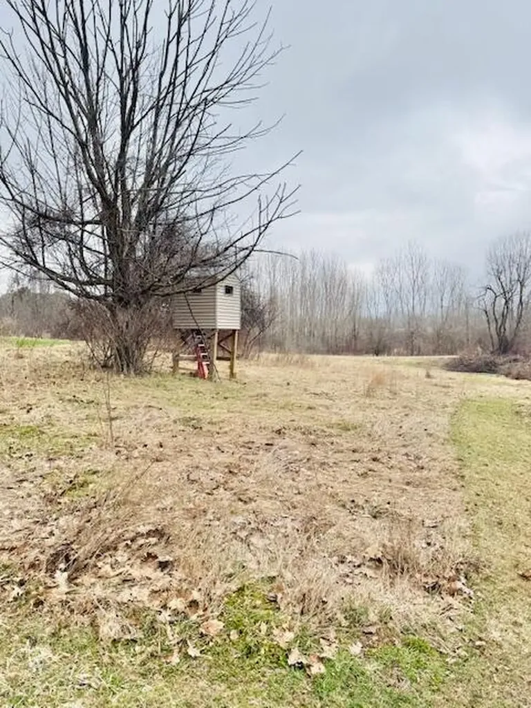 1306 Jack Henry Drive Kalamo Township MI 48813