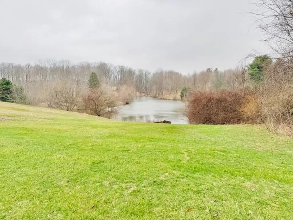 1306 Jack Henry Drive Kalamo Township MI 48813