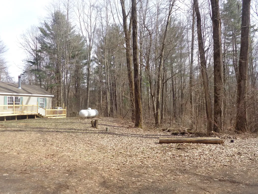 222 E 4th Street Breedsville Village MI 49056