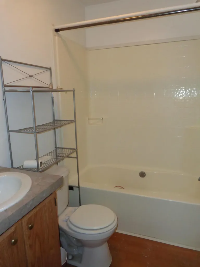 222 E 4th Street Breedsville Village MI 49056