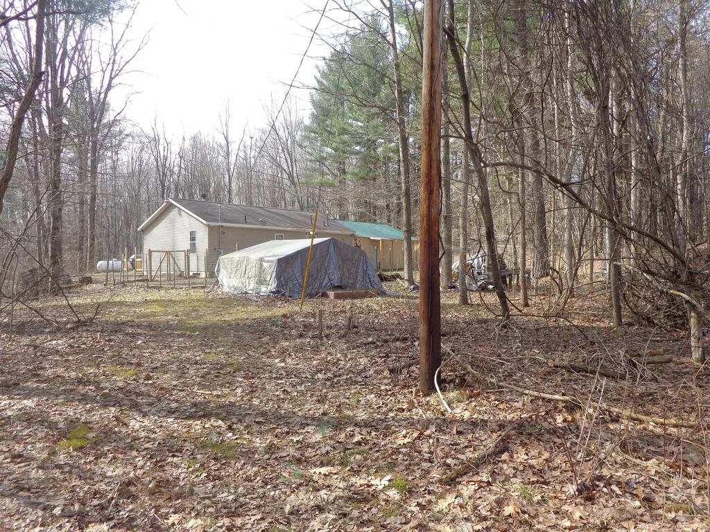 222 E 4th Street Breedsville Village MI 49056
