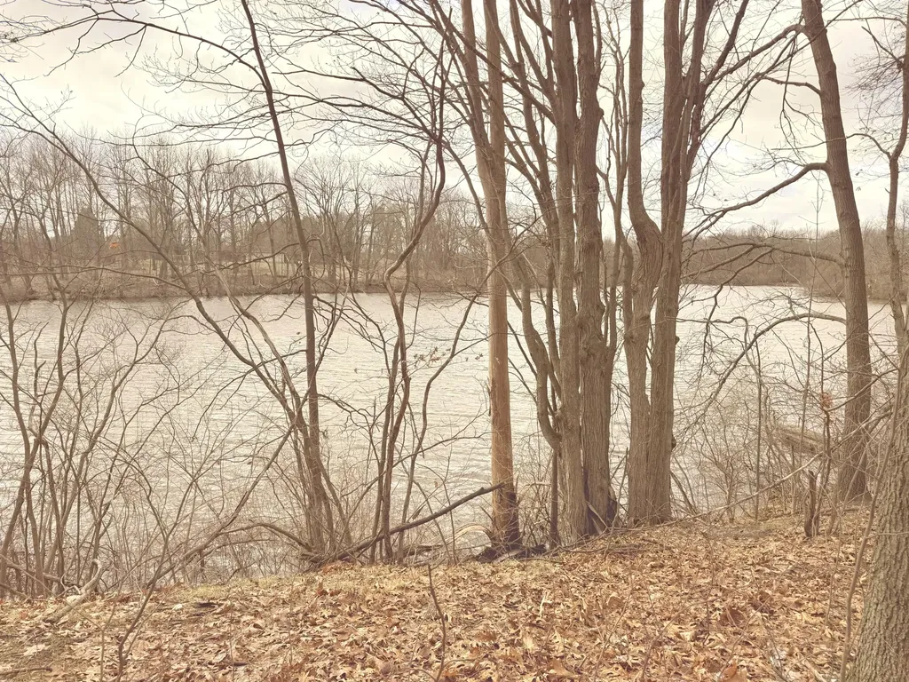 4429 Meadow Brook Lane Greenville City MI 48838