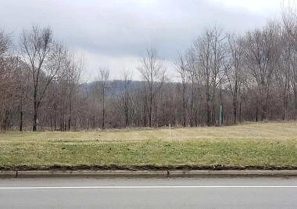 215 S Broadway Street Thornapple Township MI 49333