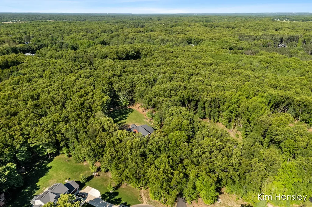 8780 Bentham Court Courtland Township MI 49341