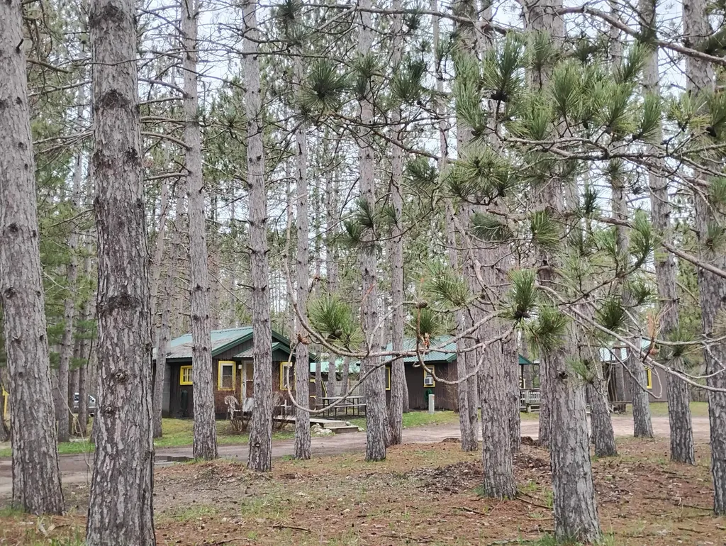 2960 Arbutus Hill Road Unknown City MI 49696